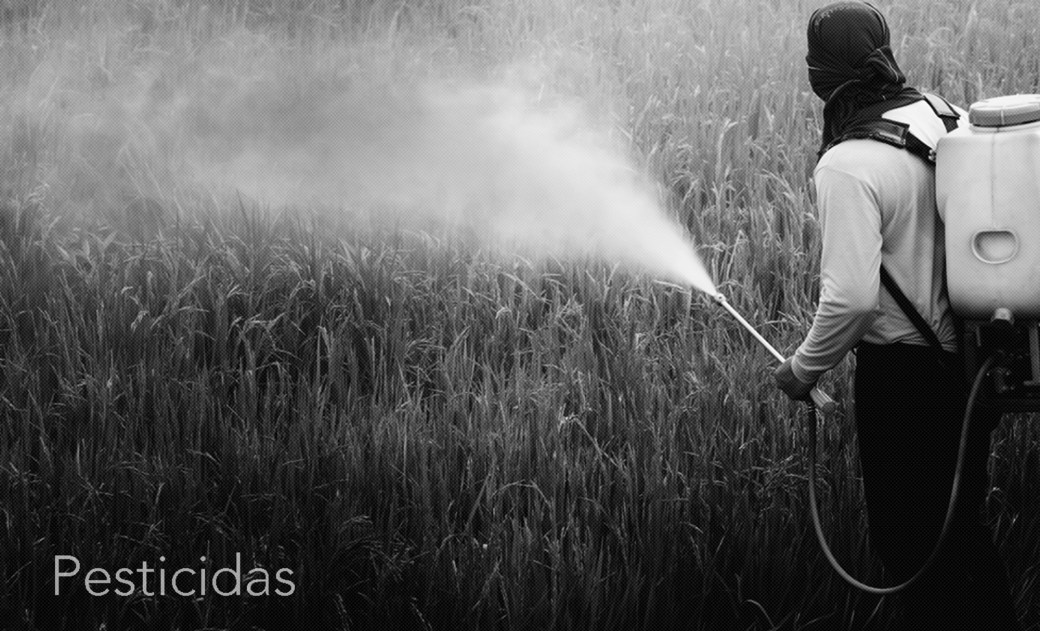 2Pesticidad.jpg