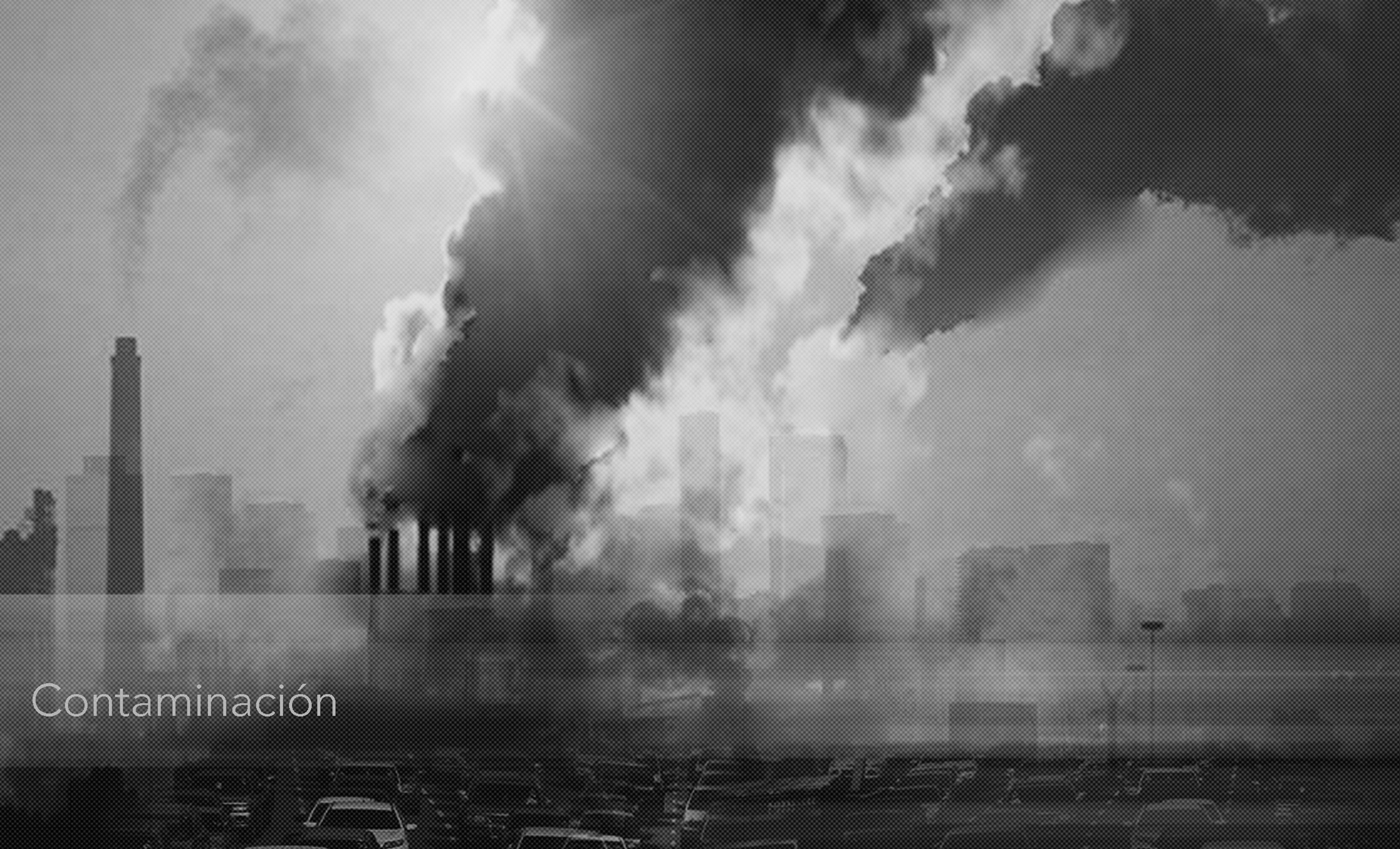 2Contaminacion.jpg