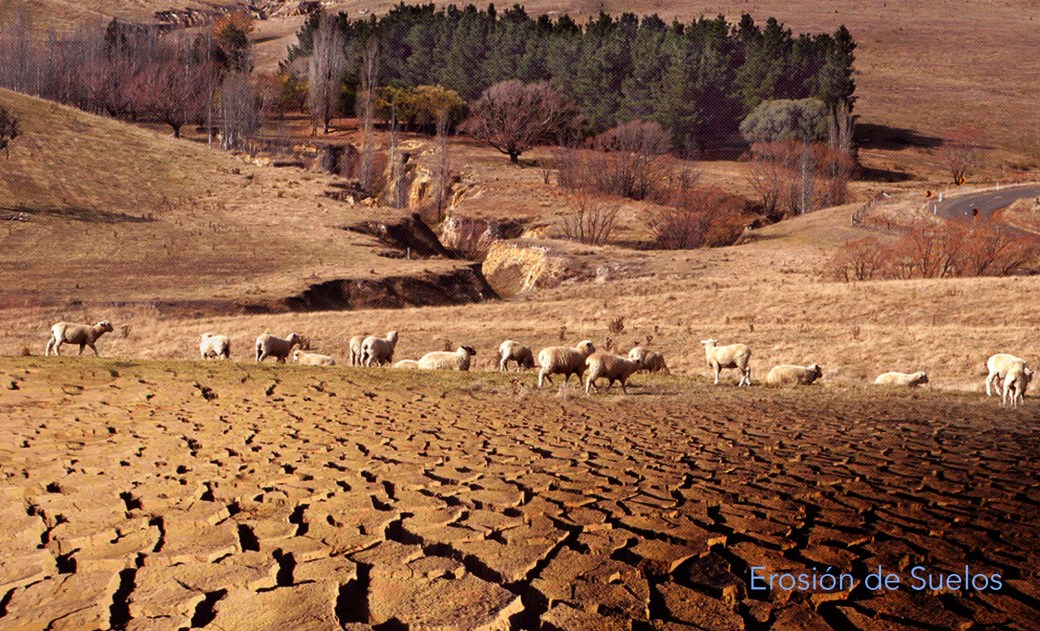 erosionsuelos