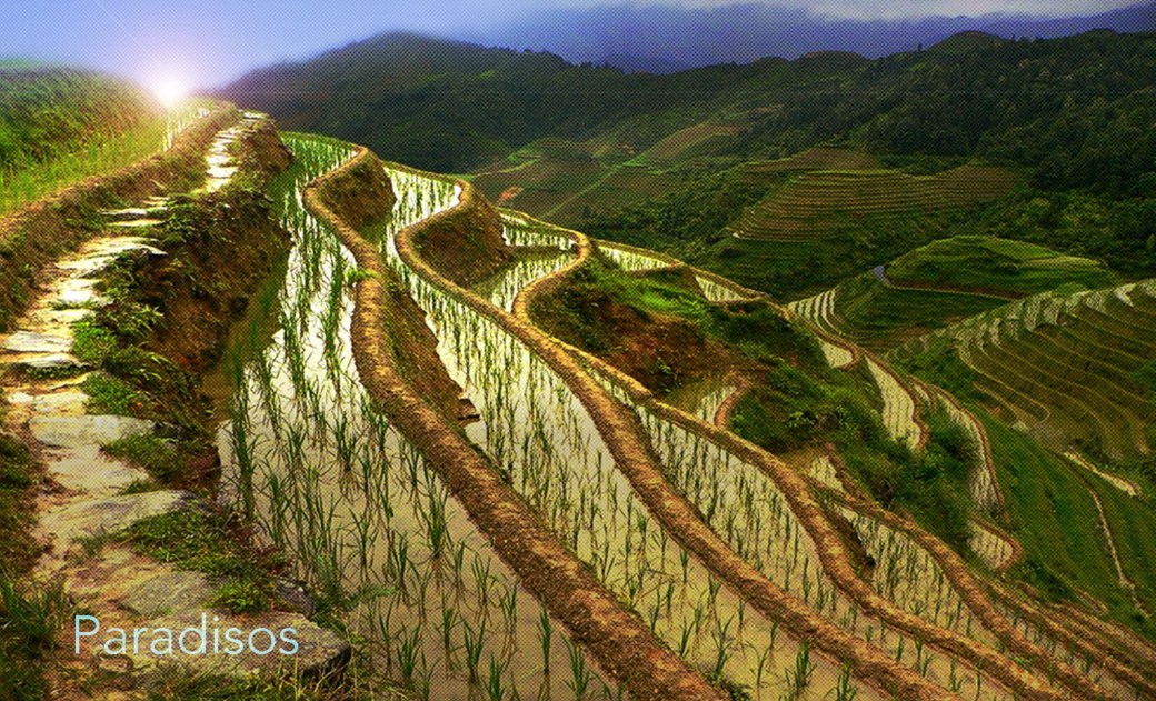 Paradisos.jpg